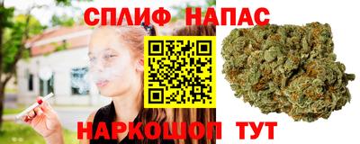 бошки Ливны